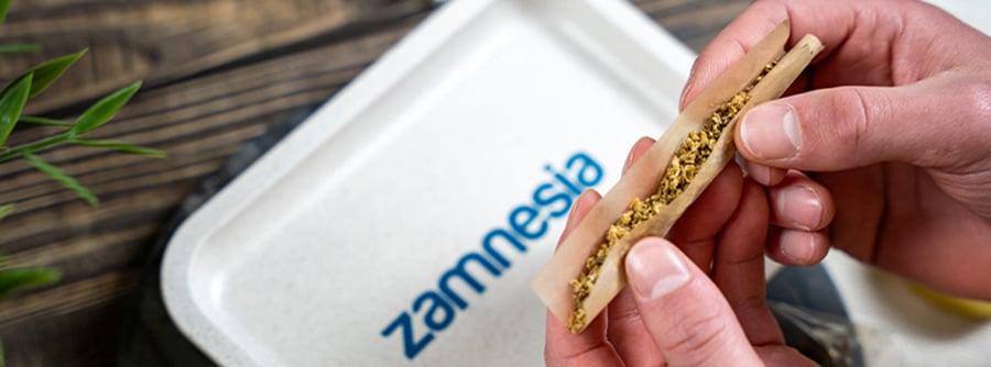 Informations sur le Headshop de Zamnesia Informations sur le Headshop de Zamnesia