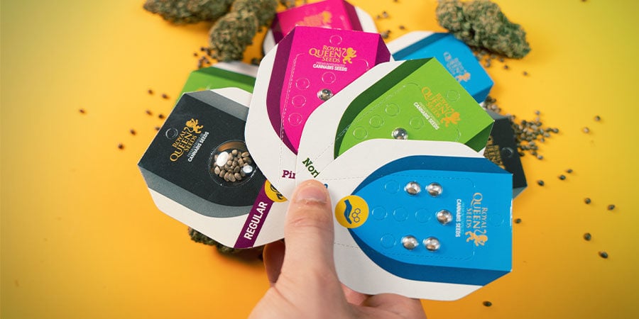 Royal Queen Seeds Valent-Ils Le Coup ? Royal Queen Seeds Valent-Ils Le Coup ?
