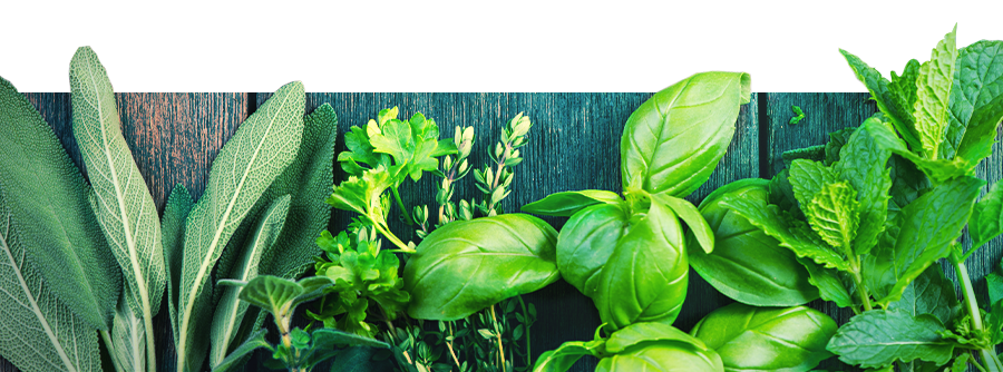 Informations Sur Les Herbes À Vaporiser Informations Sur Les Herbes À Vaporiser