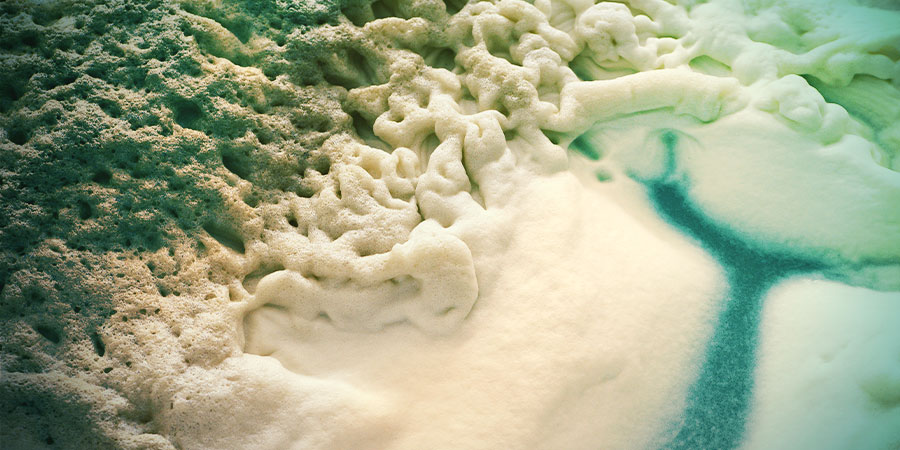 Fermentation Fermentation