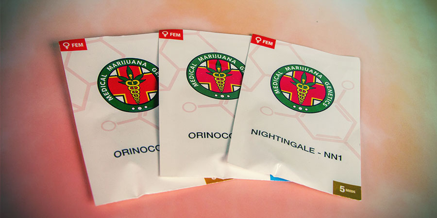 Emballage De Medical Marijuana Genetics Emballage De Medical Marijuana Genetics