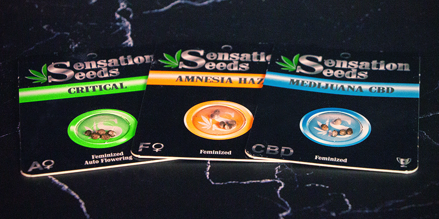 Emballage de Sensation Seeds Emballage de Sensation Seeds