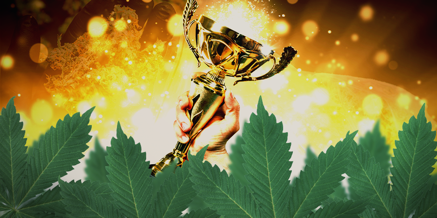 Sensi Seeds Valent-Ils Le Coup ? Sensi Seeds Valent-Ils Le Coup ?