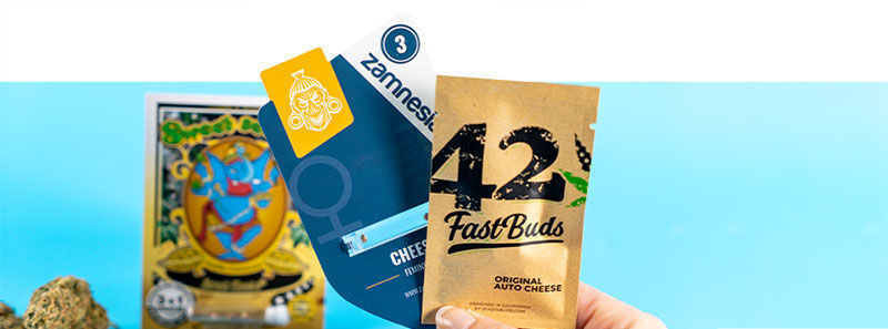 À propos des variétés Cheese À propos des variétés Cheese