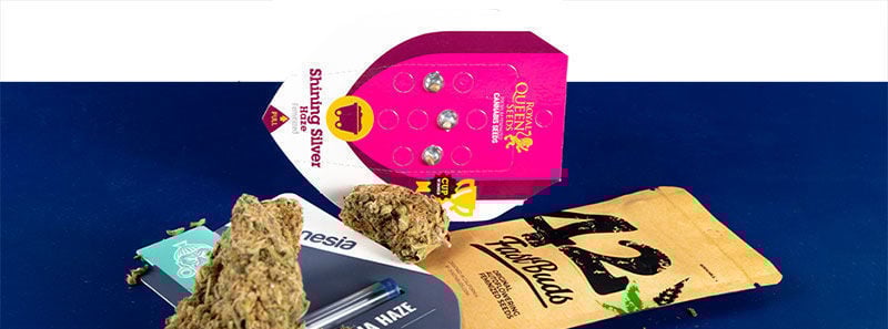 À propos des variétés Haze À propos des variétés Haze