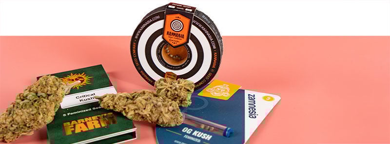 À propos des variétés Kush À propos des variétés Kush