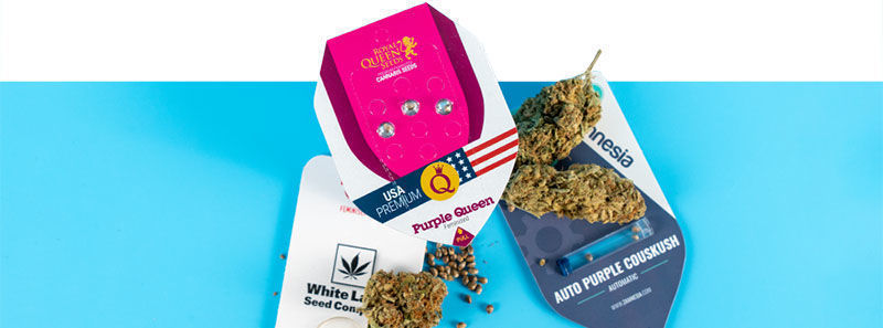 À propos des variétés Purple À propos des variétés Purple