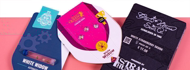 À propos des variétés White Widow À propos des variétés White Widow