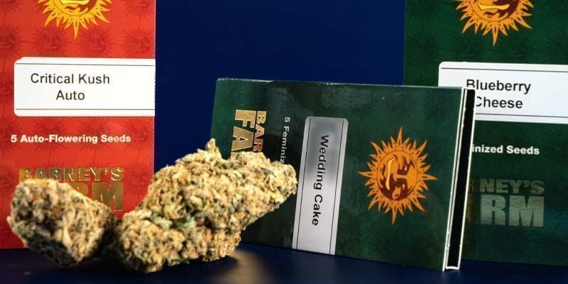 Emballage Barney's Farm Emballage Barney's Farm