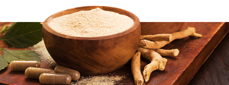 Achetez Vos Produits Ayurvédiques En Ligne Chez Zamnesia Achetez vos produits ayurvédiques en ligne chez Zamnesia