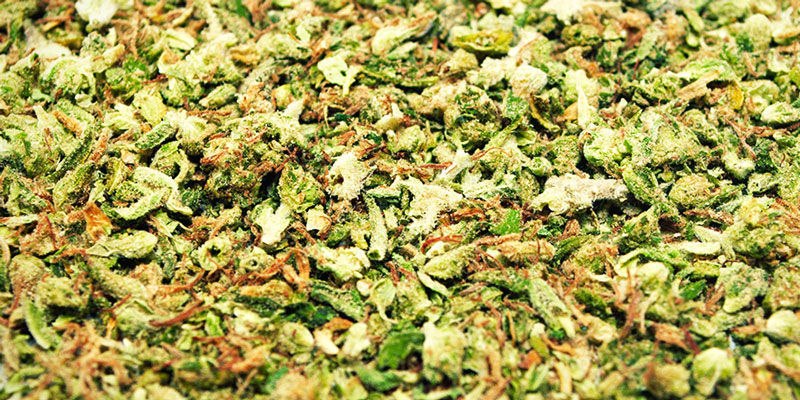 Grinder Du Cannabis Sans Grinder Grinder Du Cannabis Sans Grinder