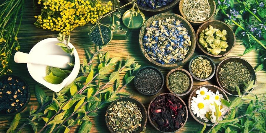 Augmenter Son Énergie Naturelle Avec Des Plantes Augmenter son énergie naturelle avec des plantes