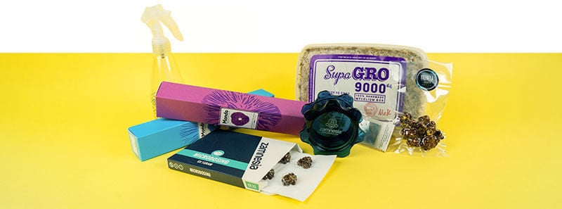 Tout ce qu’il vous faut pour un trip complet à la psilocybine ou un microdosage