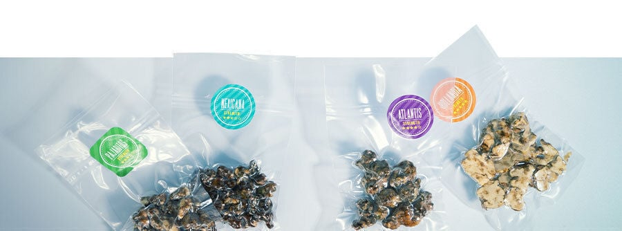 Acheter des truffes magiques en ligne sur Zamnesia