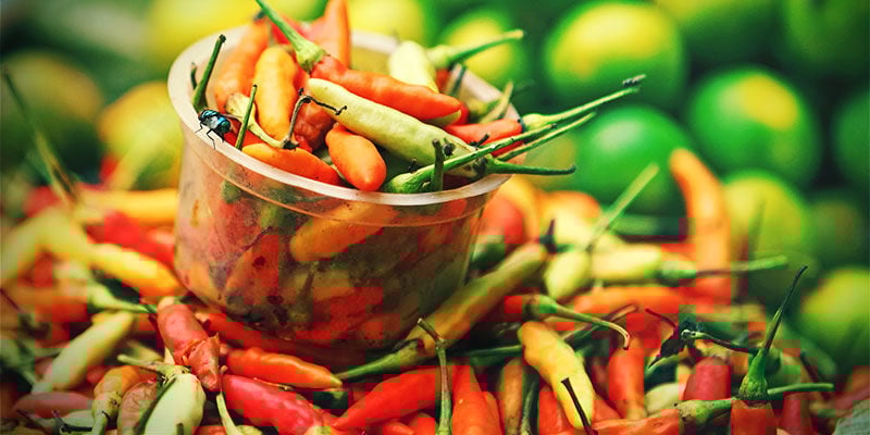 Pourquoi Cultiver Vos Propres Piments ? Pourquoi Cultiver Vos Propres Piments ?