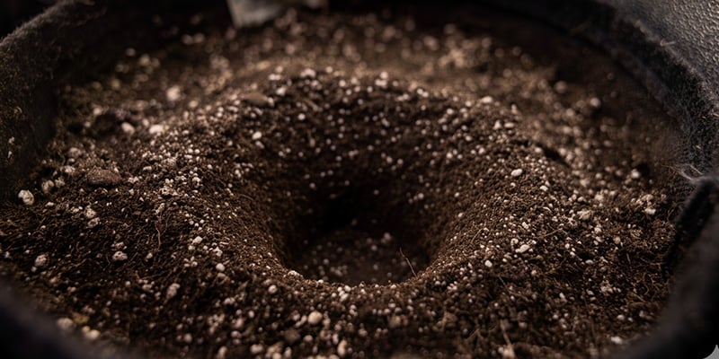 Pr&eacute;parer le nouveau chez-soi