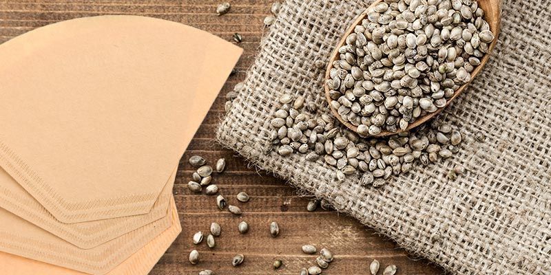 Faire germer des graines de cannabis dans un filtre à café