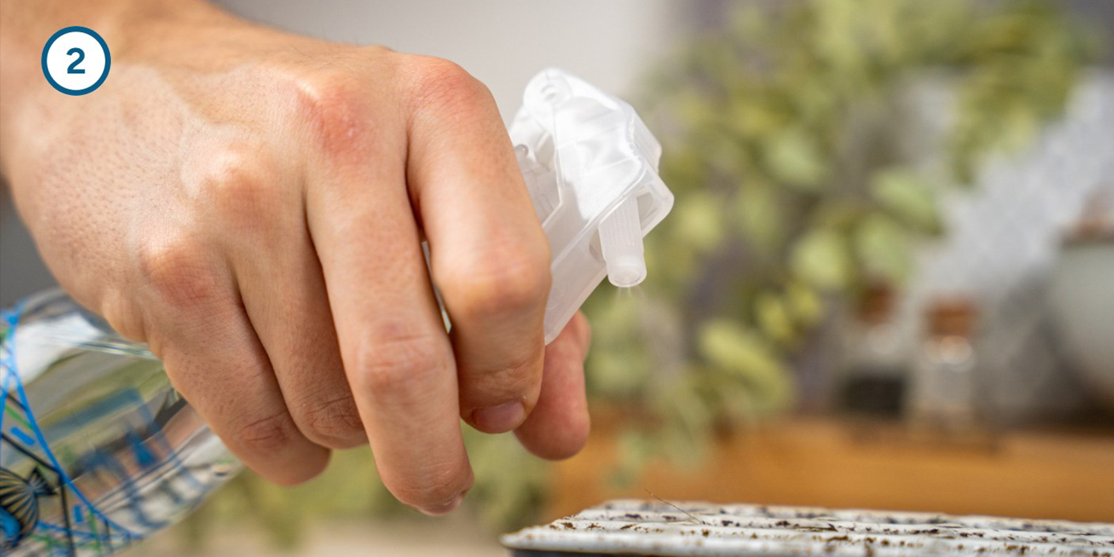 Méthode du kit de germination