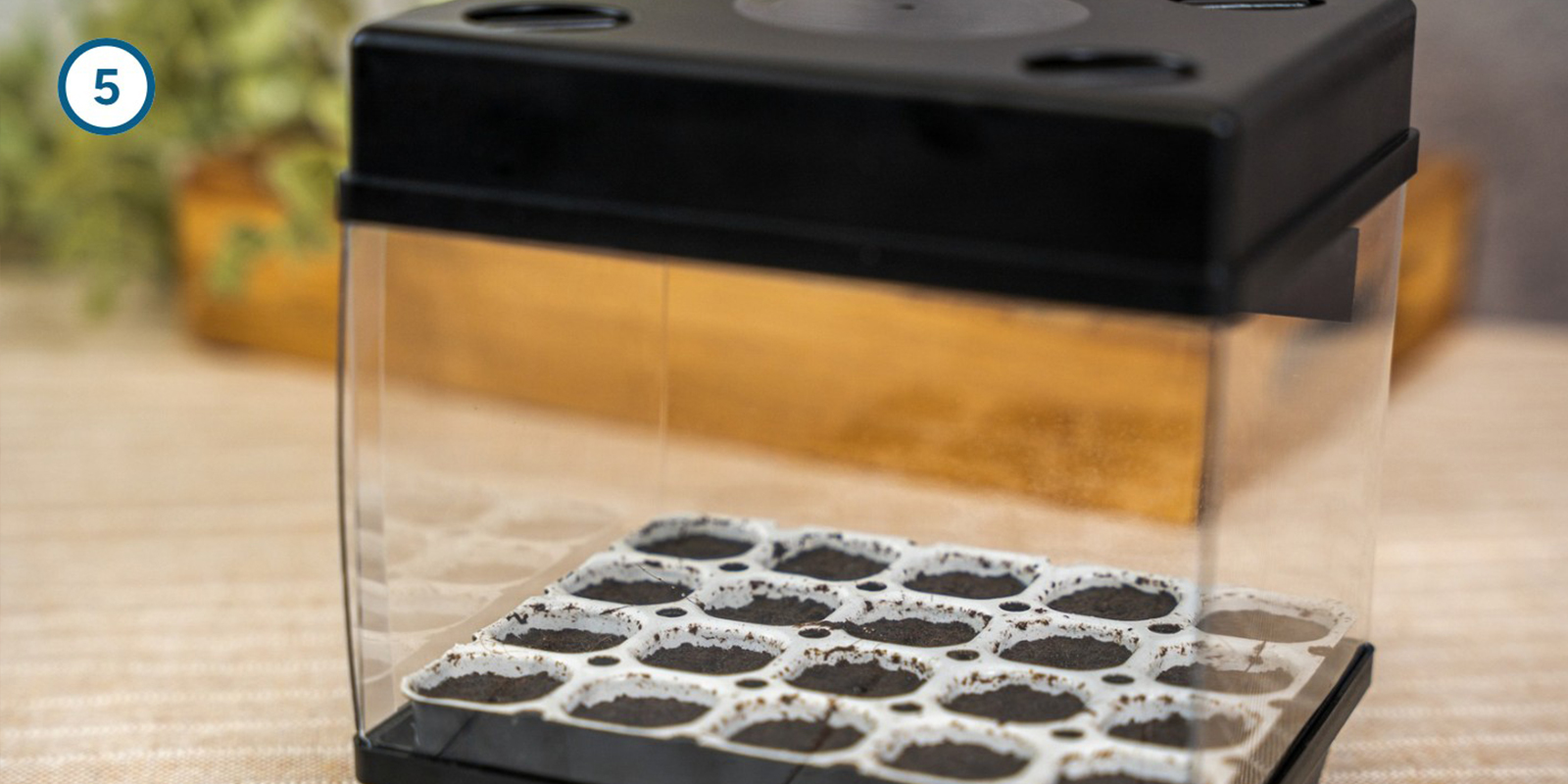 Méthode du kit de germination