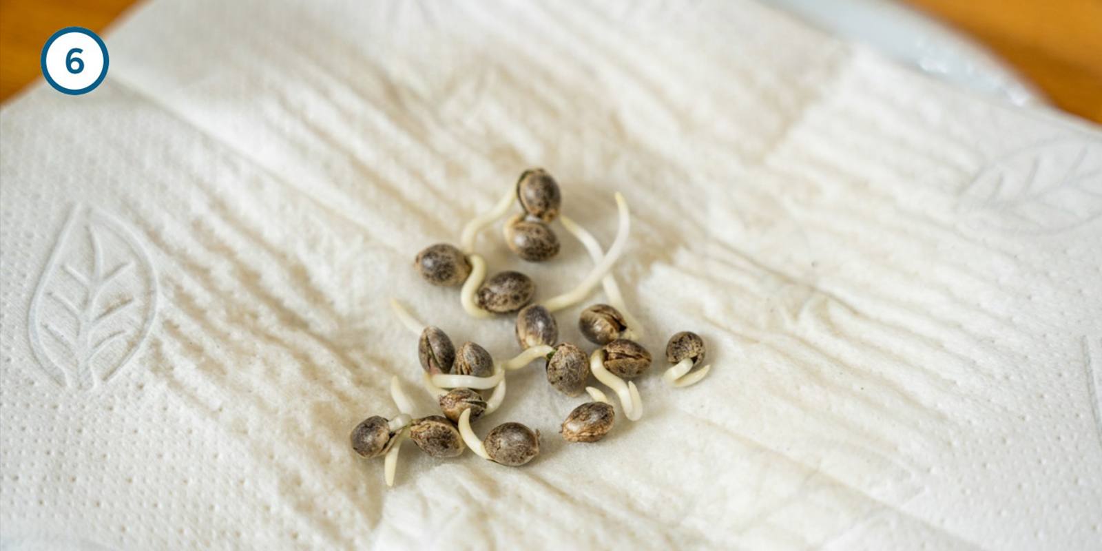 Méthode de l’essuie-tout