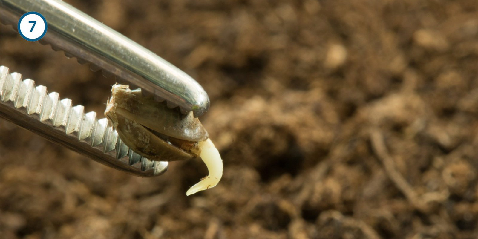 M&eacute;thode de l&rsquo;essuie-tout