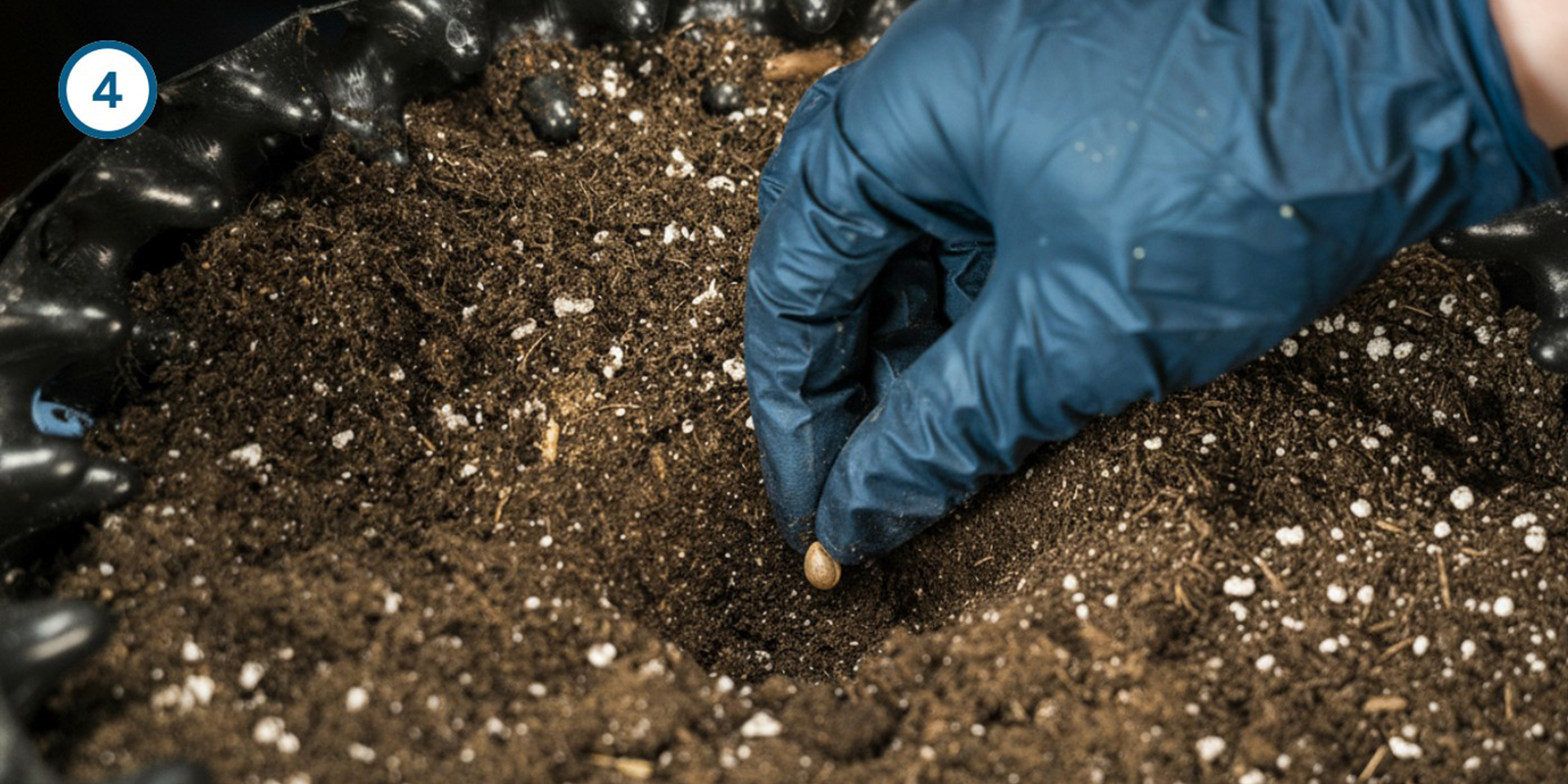 Méthode directement en terre