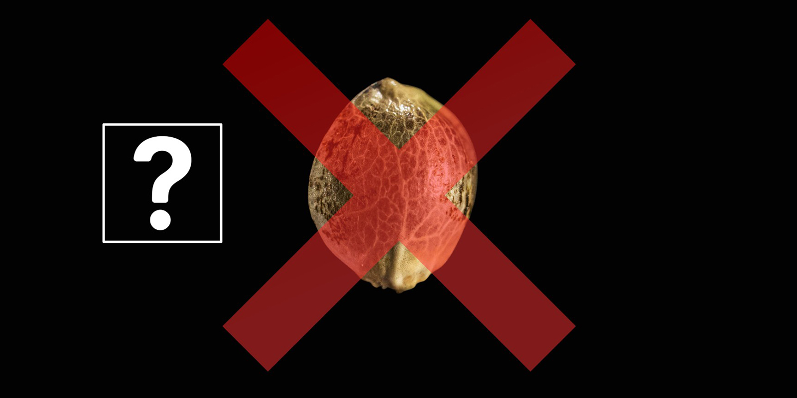 R&eacute;soudre les probl&egrave;mes de germination