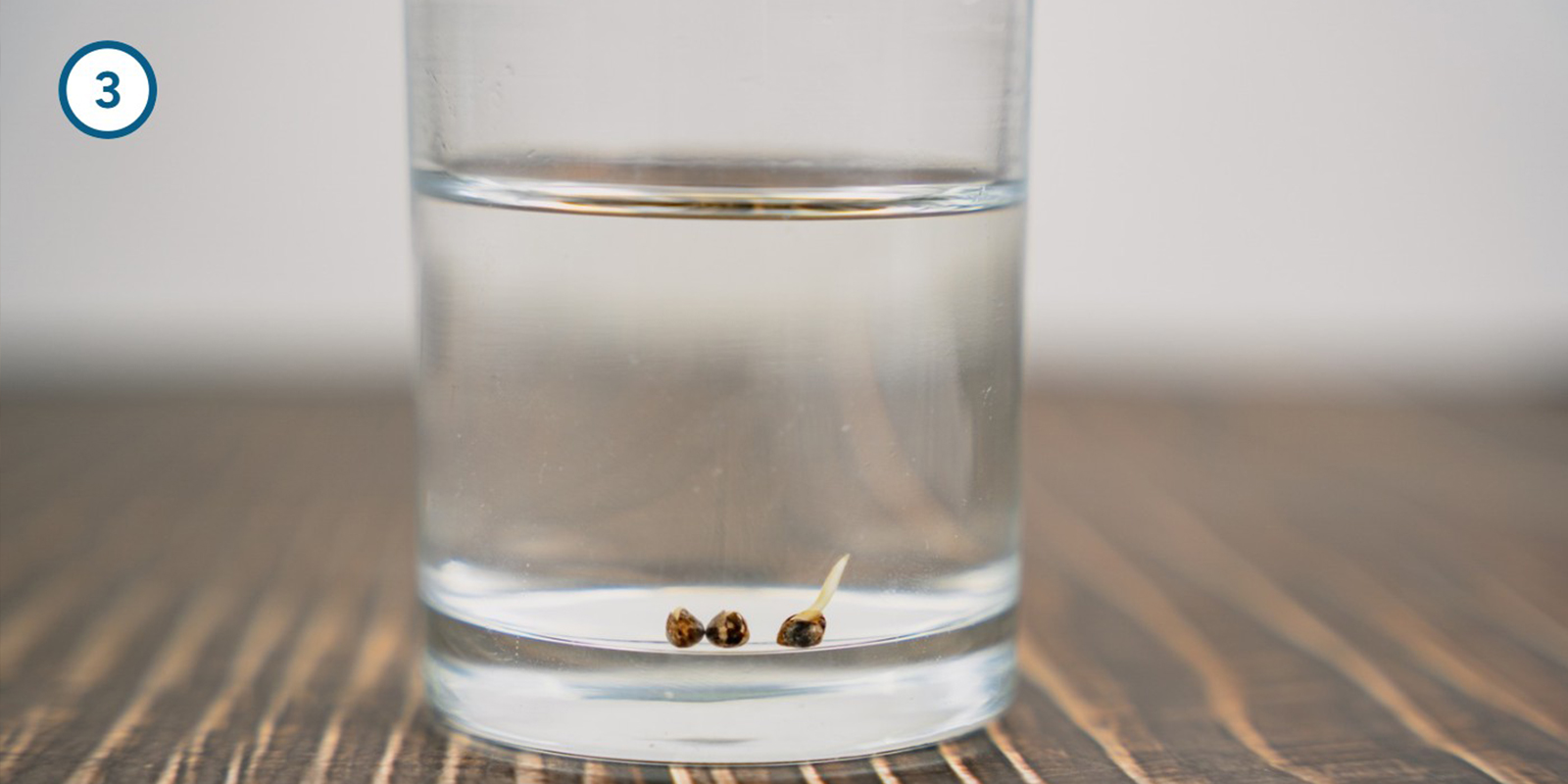 Méthode du trempage dans l’eau