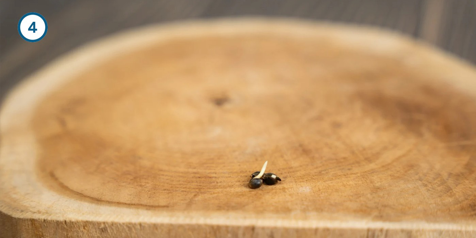 Méthode du trempage dans l’eau