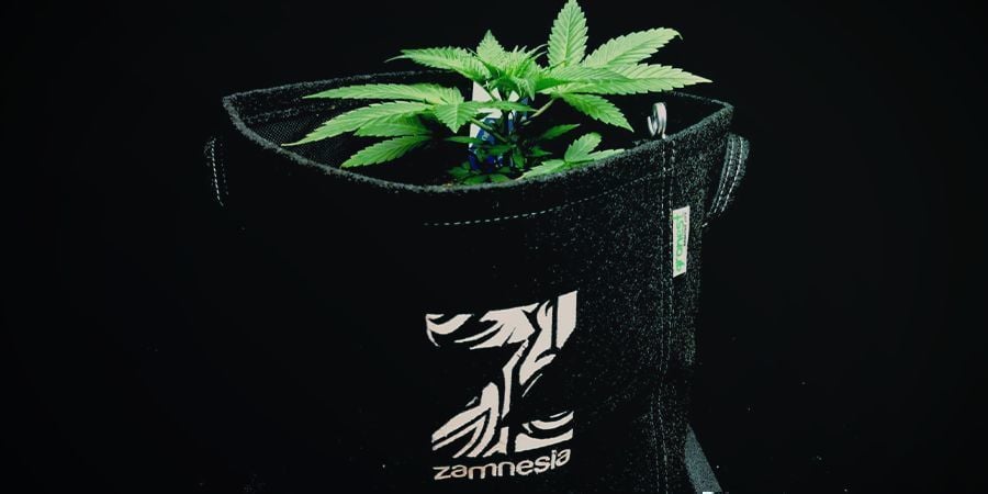 Pots En Tissu Géotextile Ou Smart Pots Cannabis