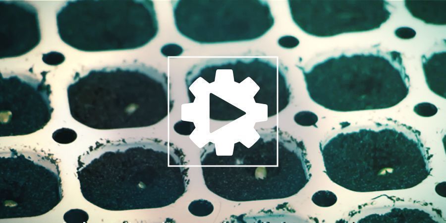 Faire Germer Des Graines Avec Le Smart Start