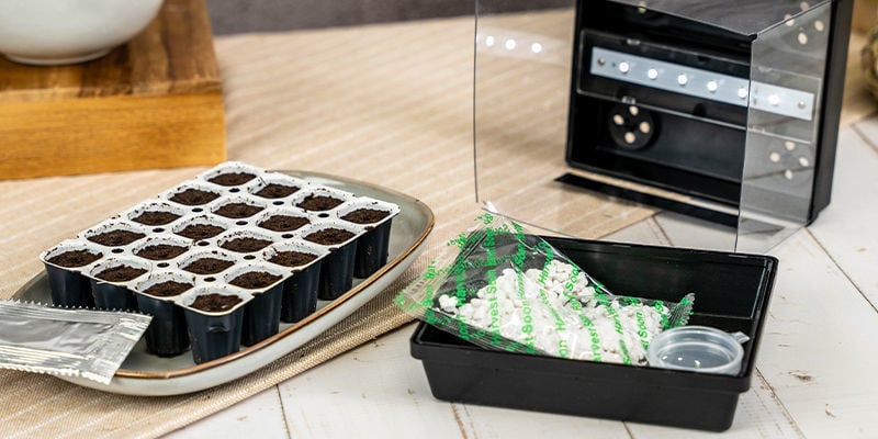 Pourquoi Faire Germer Des Graines De Cannabis Avec Un Kit Smart Start ?