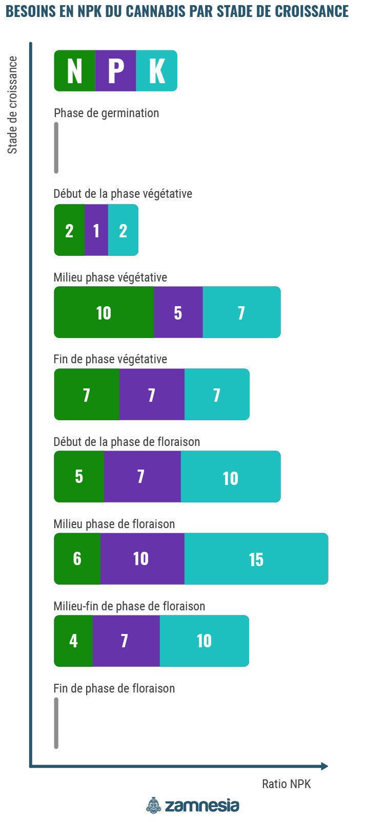 Les 6 stades de croissance en culture indoor