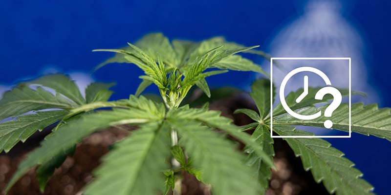 Quand fim vos plantes