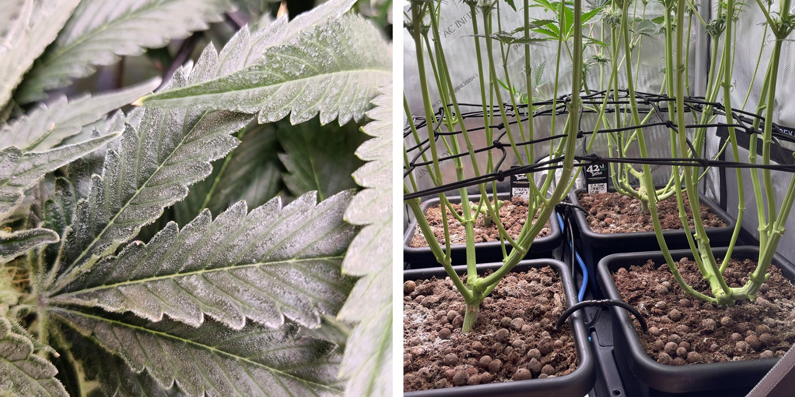 Blocages de circulation d’air Blocages de circulation d’air