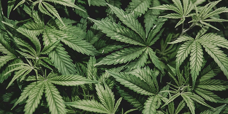 Erreurs fréquentes à éviter Erreurs fréquentes à éviter