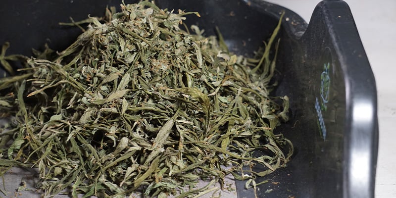 Offrez une seconde vie à vos restes Offrez une seconde vie à vos restes