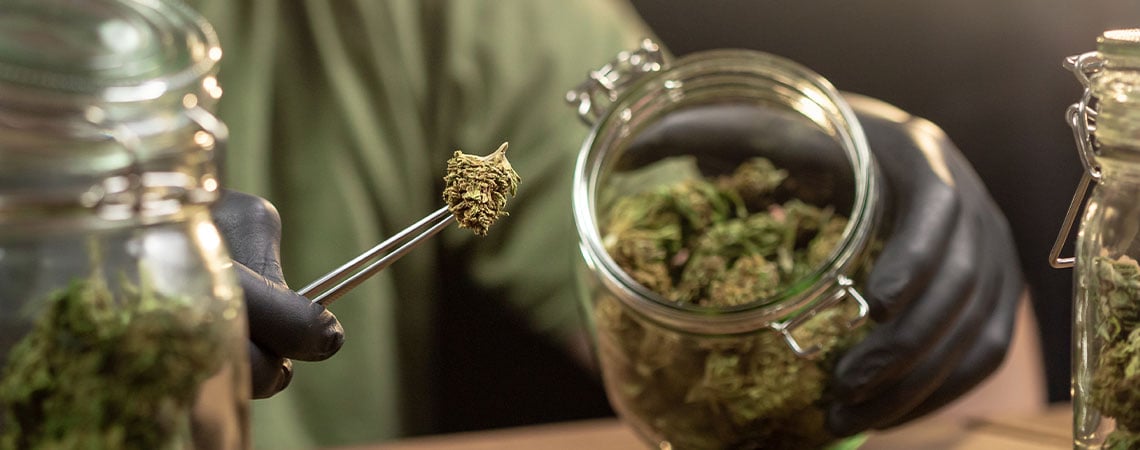 Comment conserver du cannabis correctement