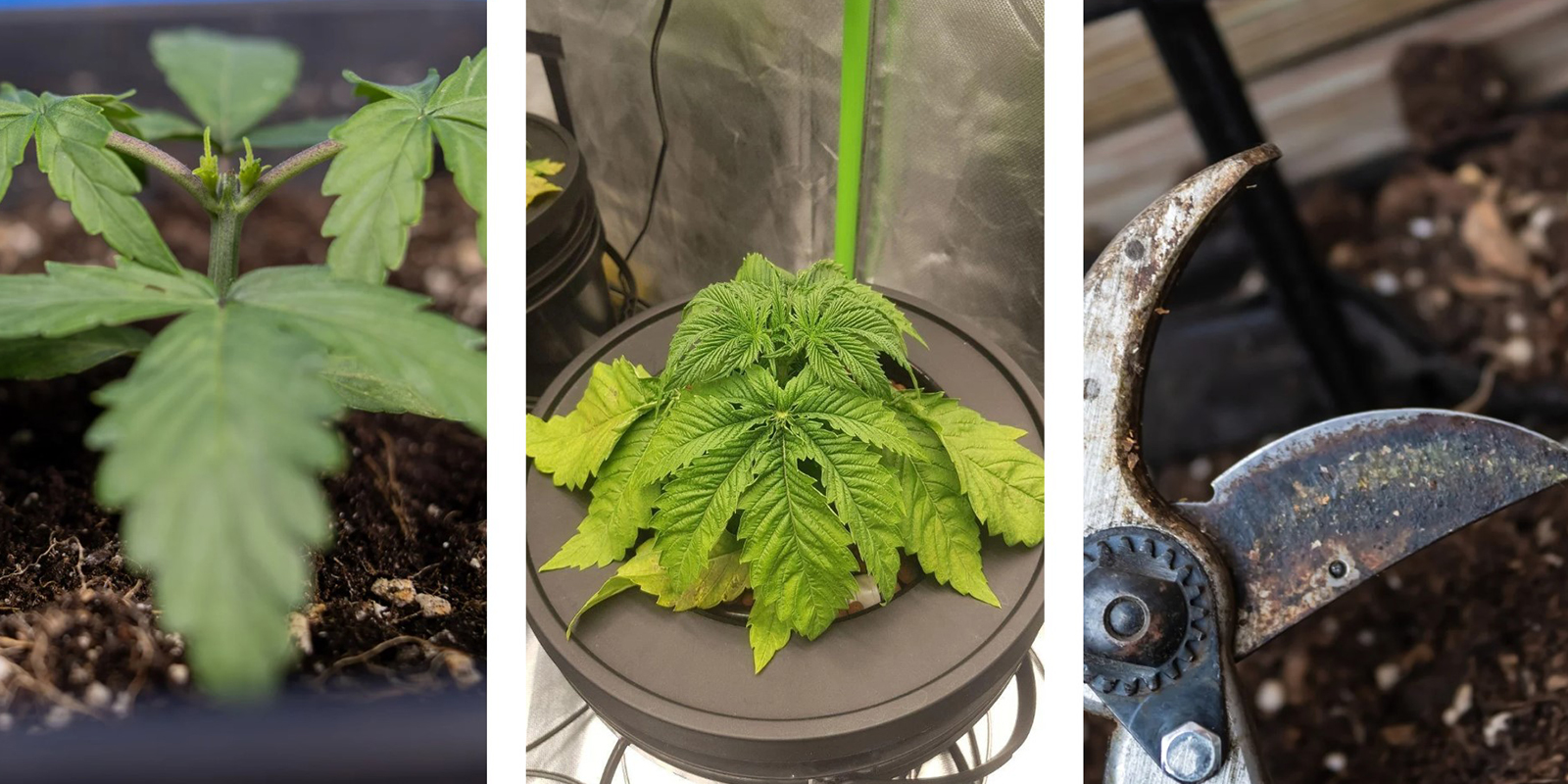 Erreurs courantes à éviter