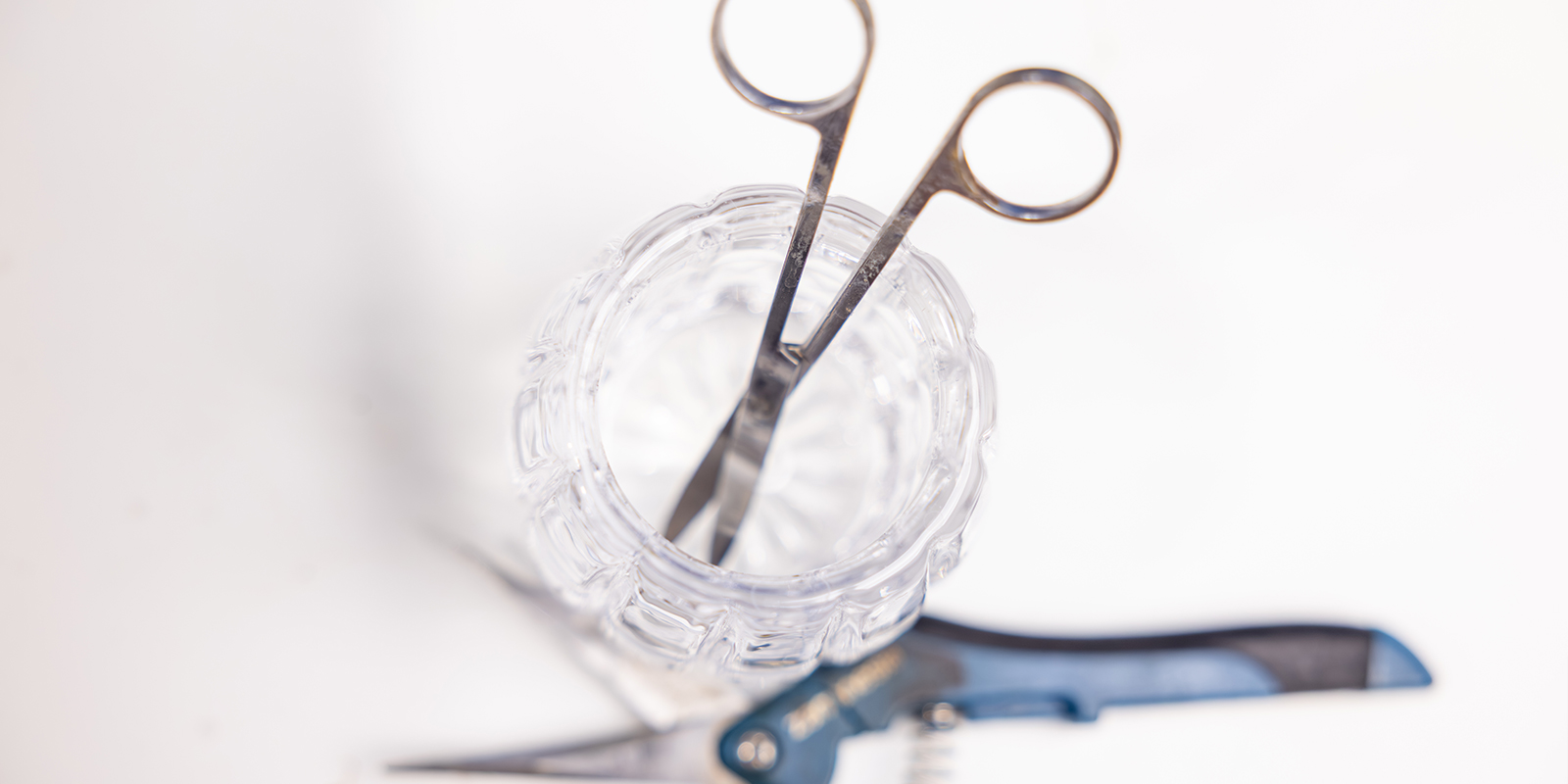 Outils et accessoires pour bien défolier
