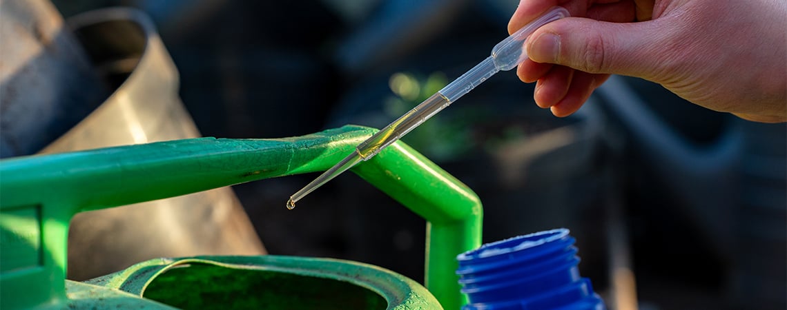 Les Variétés À Autofloraison Ont-Elles Besoin De Nutriments ? Les Variétés À Autofloraison Ont-Elles Besoin De Nutriments ?