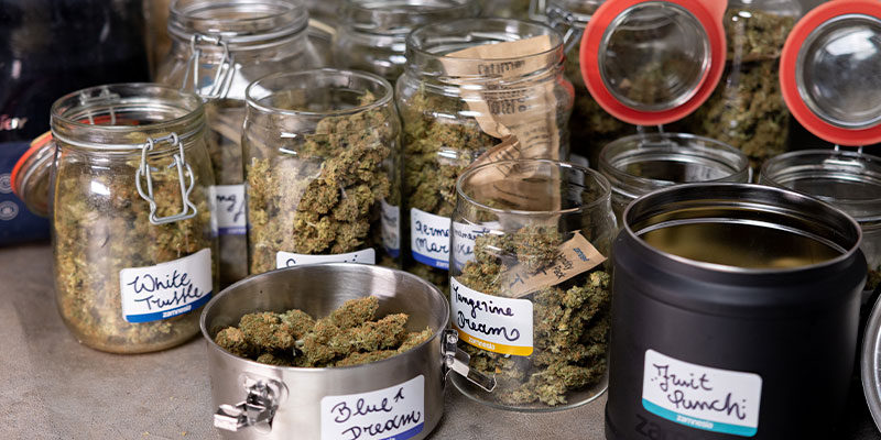 Lavage des têtes de cannabis : oui ou non ?