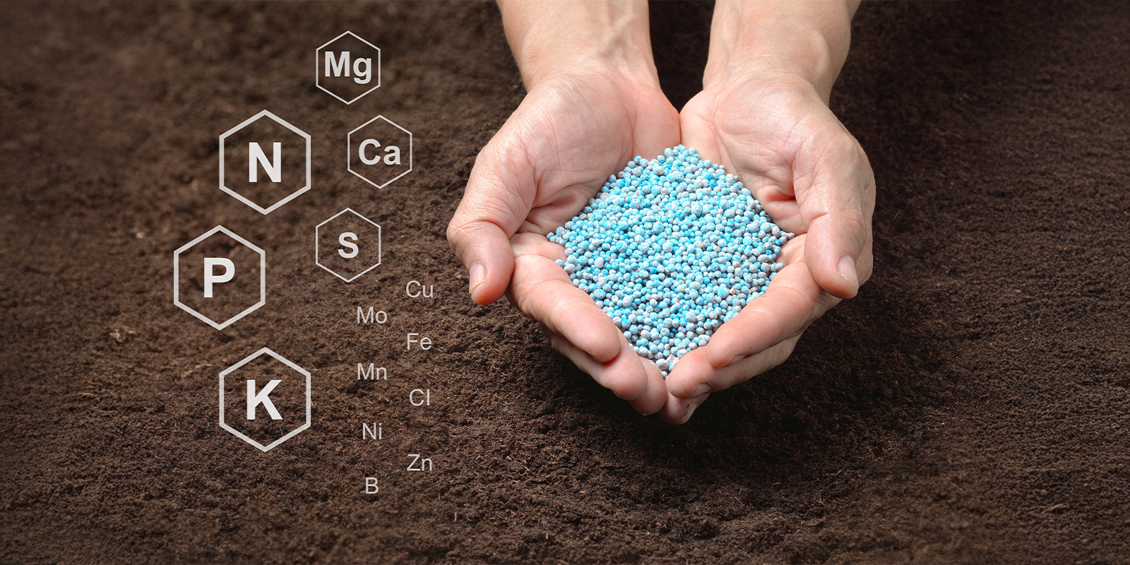 Solutions nutritives synthétiques Solutions nutritives synthétiques