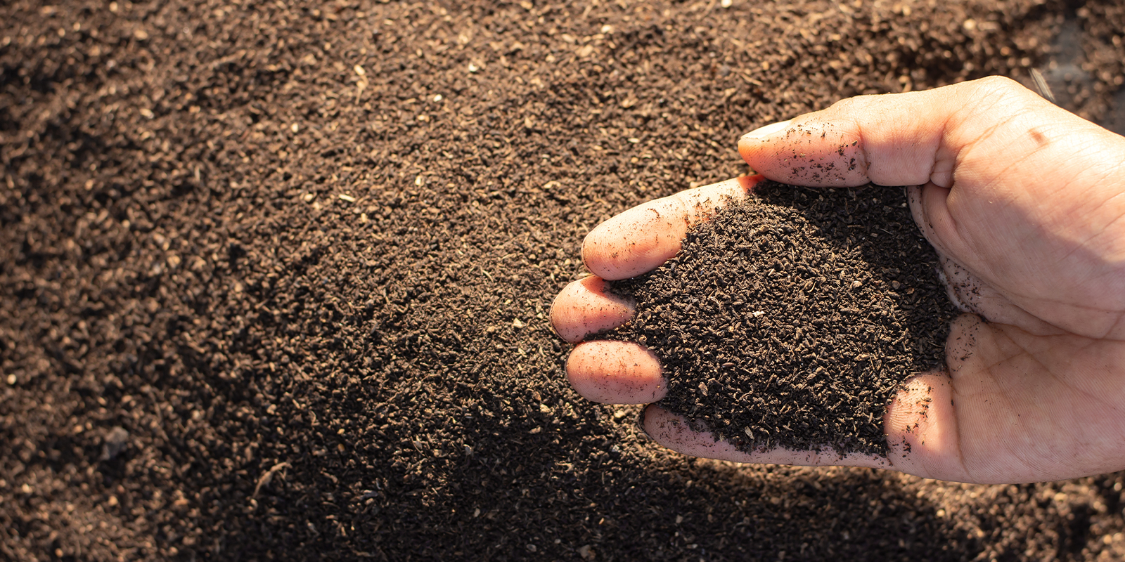 Solutions organiques Solutions organiques