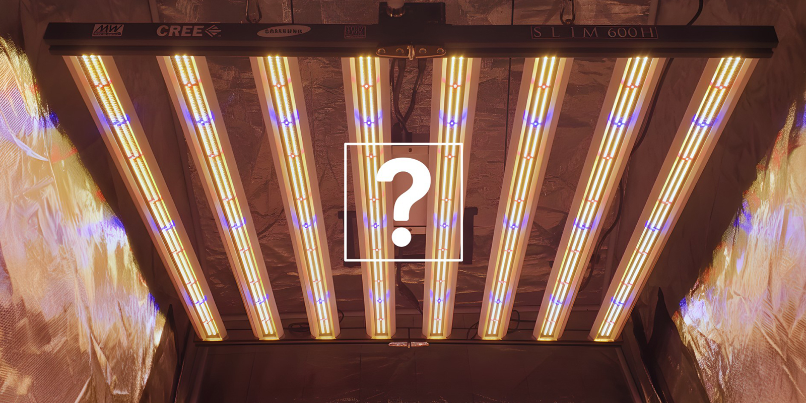 Comment choisir le bon cycle lumineux