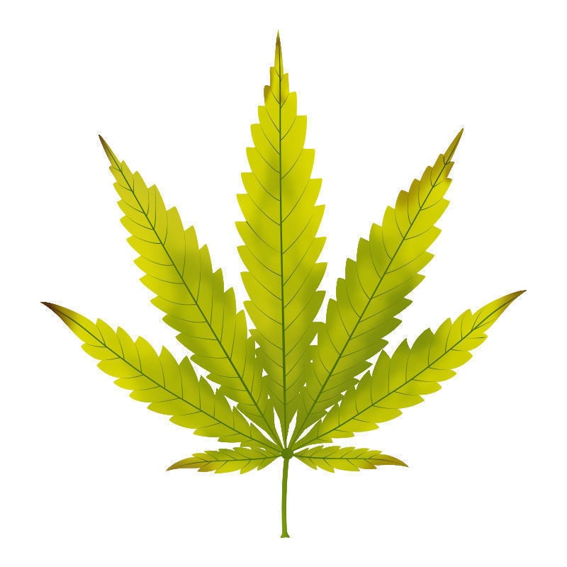 Carence En magnésium Dans Les Plants De Cannabis : Progression de la carence en magnésium