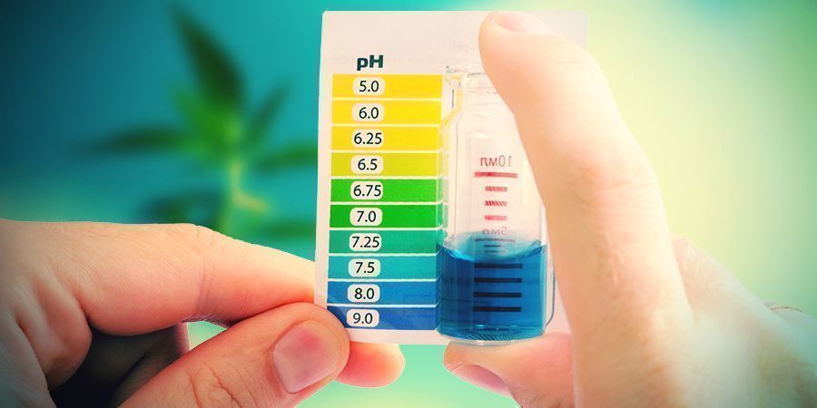 Comment Traiter La Toxicité Du Calcium