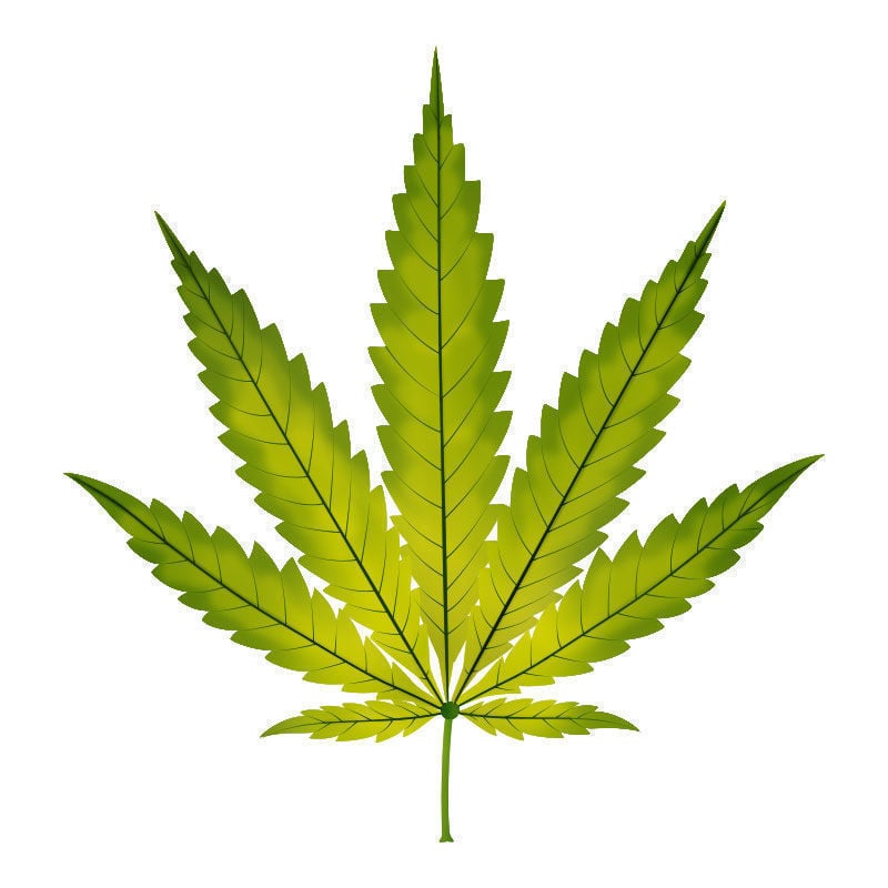 Carence En fer Dans Les Plants De Cannabis : Progression de la carence en fer
