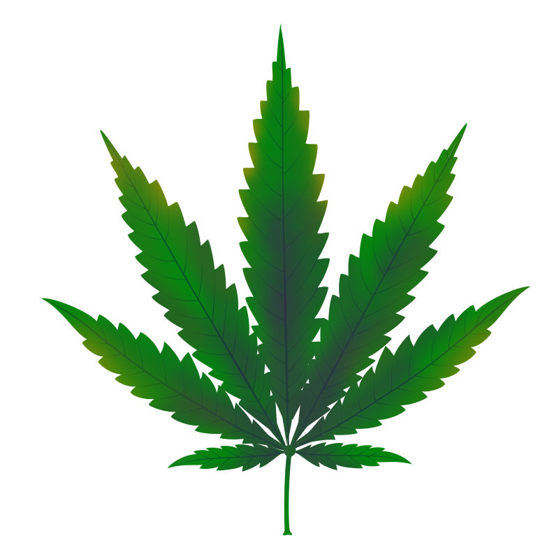 Carence En Cuivre Dans Les Plants De Cannabis : Début de la carence en cuivre