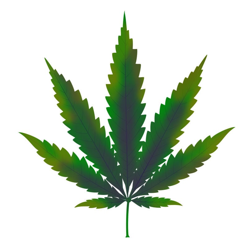 Carence En cuivre Dans Les Plants De Cannabis : Progression de la carence en cuivre